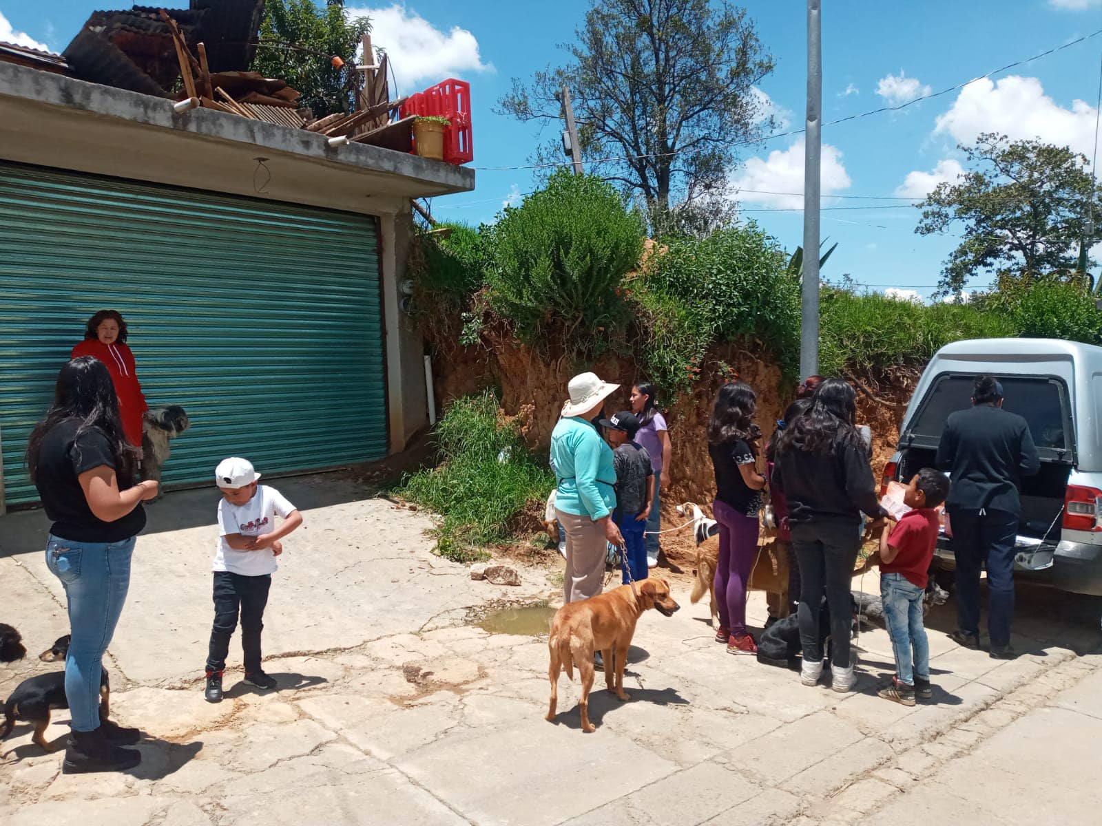 1691073626 296 Este dia se realizo la vacunacion antirrabica de perros y