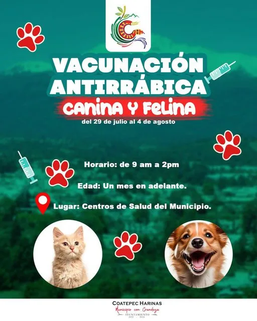 1691074262 Si tienes perros o gatosacude a la VacunacionAntirrabica la salud jpg