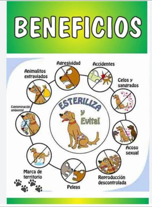 1691091196 JORNADA DE ESTERILIZACION CANINA Y FELINA CUPO LIMITADO Calendario de jpg