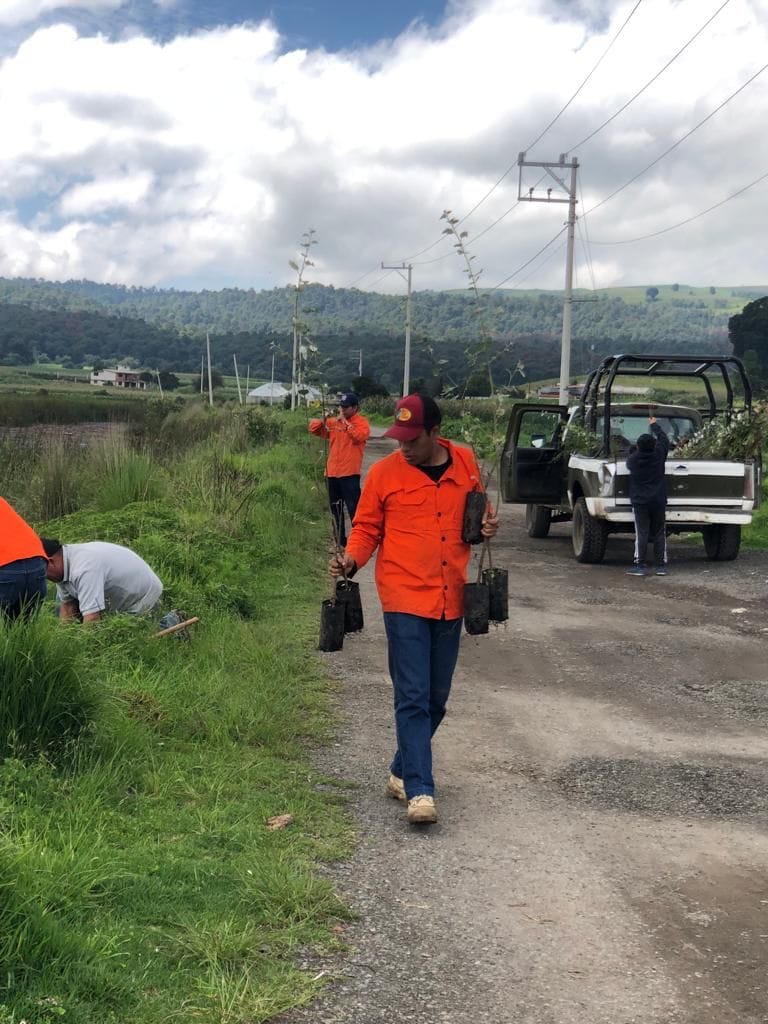 1691095146 273 4Reforestacion San Pedro Techuchulco Continuando con las reforestaciones en