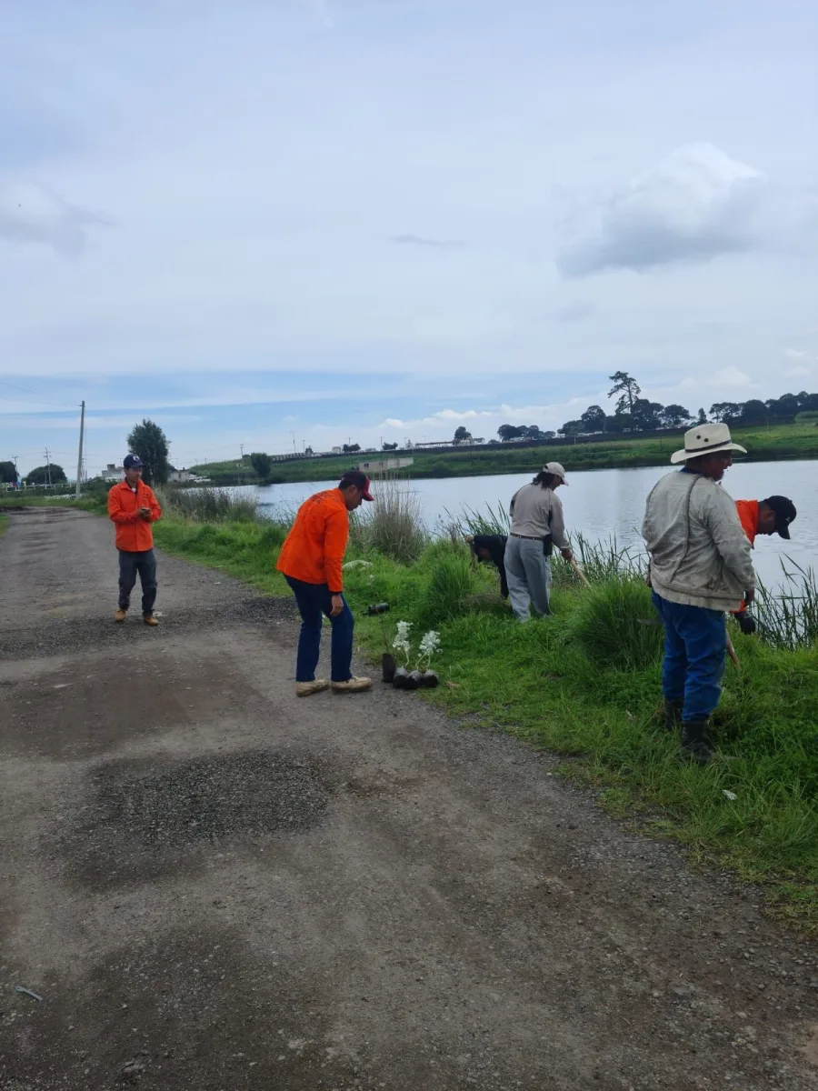 1691095150 160 4Reforestacion San Pedro Techuchulco Continuando con las reforestaciones en