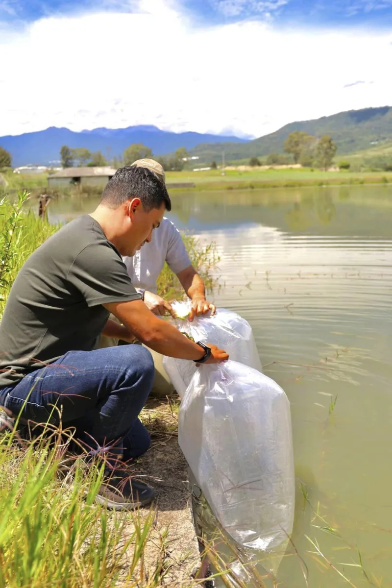 1691095467 653 Cultivar alimentos es cultivar vida una responsabilidad que trasciende las