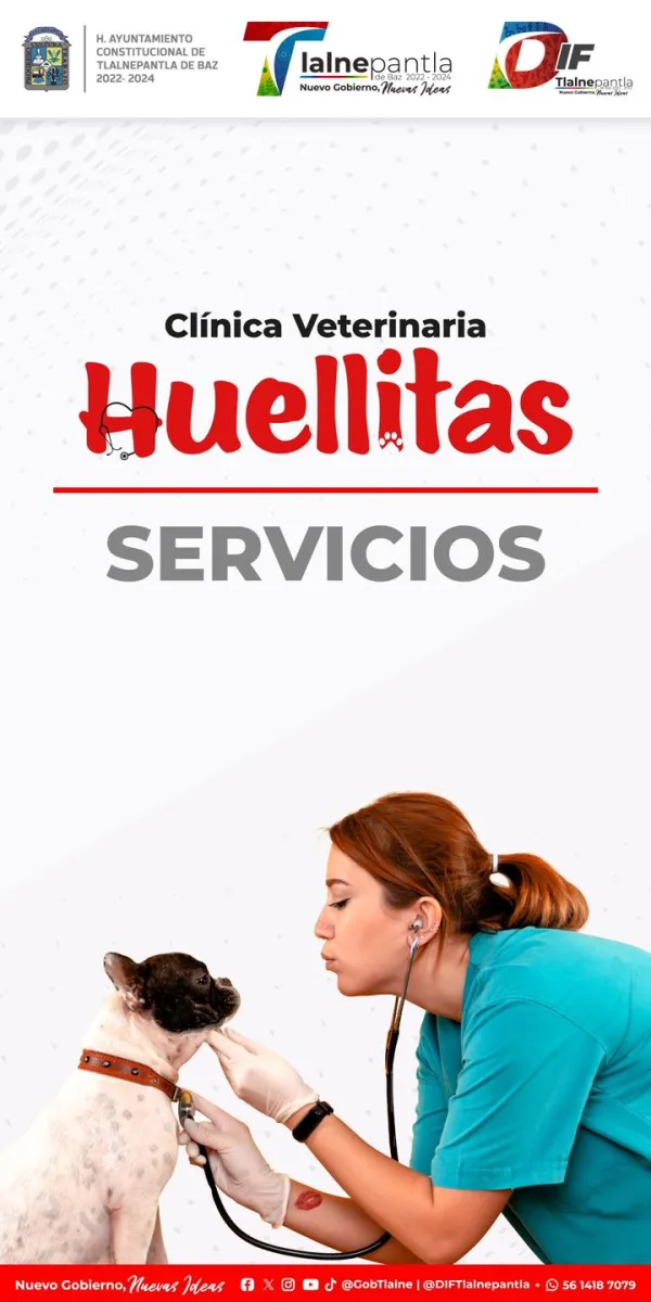 1691151530 Conoce los diferentes servicios que ofrece nuestra Clinica Veterinaria Huellitas