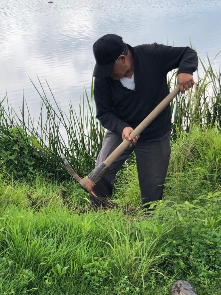 1691152693 62 4Reforestacion San Pedro Techuchulco Continuando con las reforestaciones en