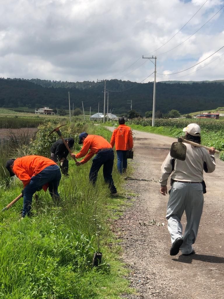 1691152739 4Reforestacion San Pedro Techuchulco Continuando con las reforestaciones en