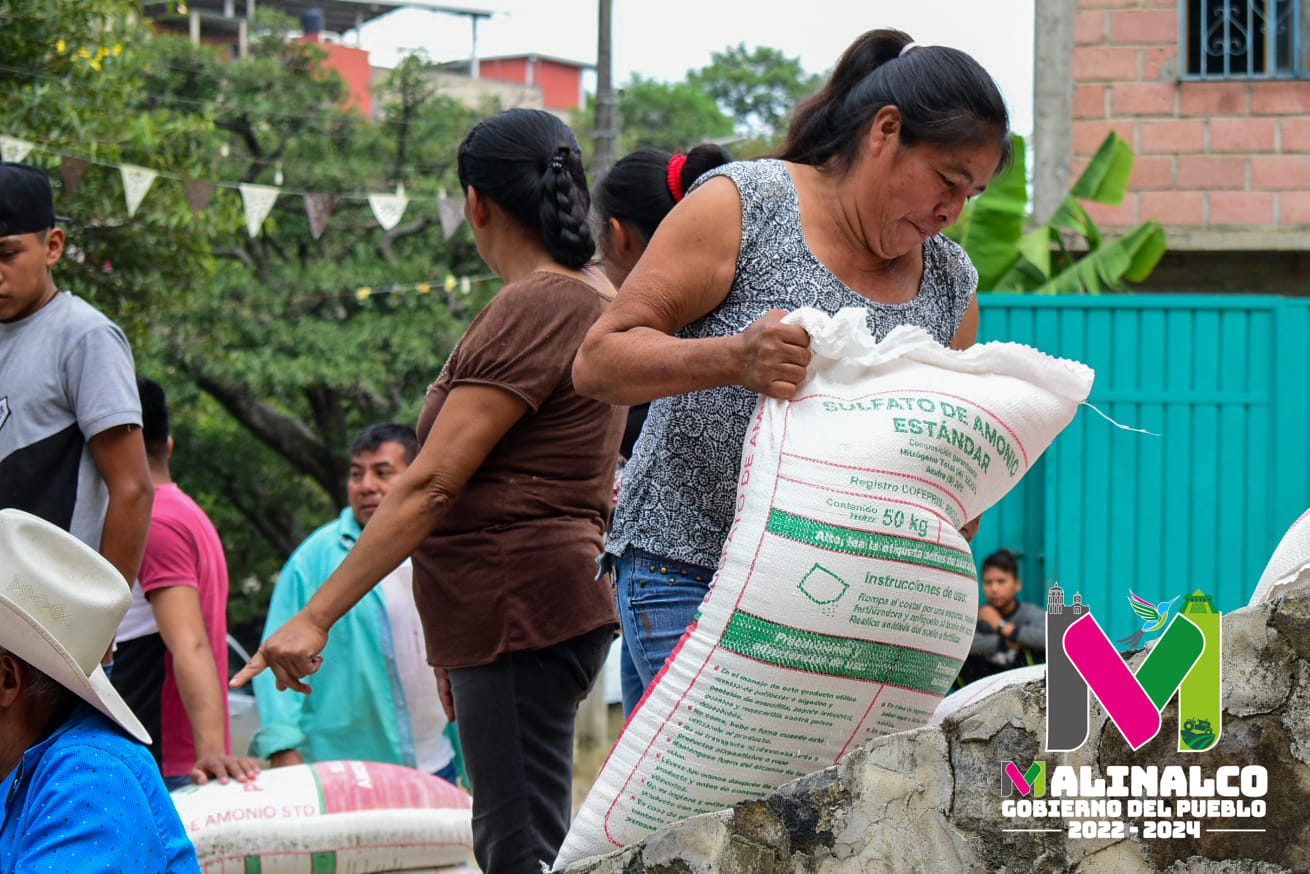 1691156724 355 En la comunidad de Noxtepec de Zaragoza llevamos a cabo