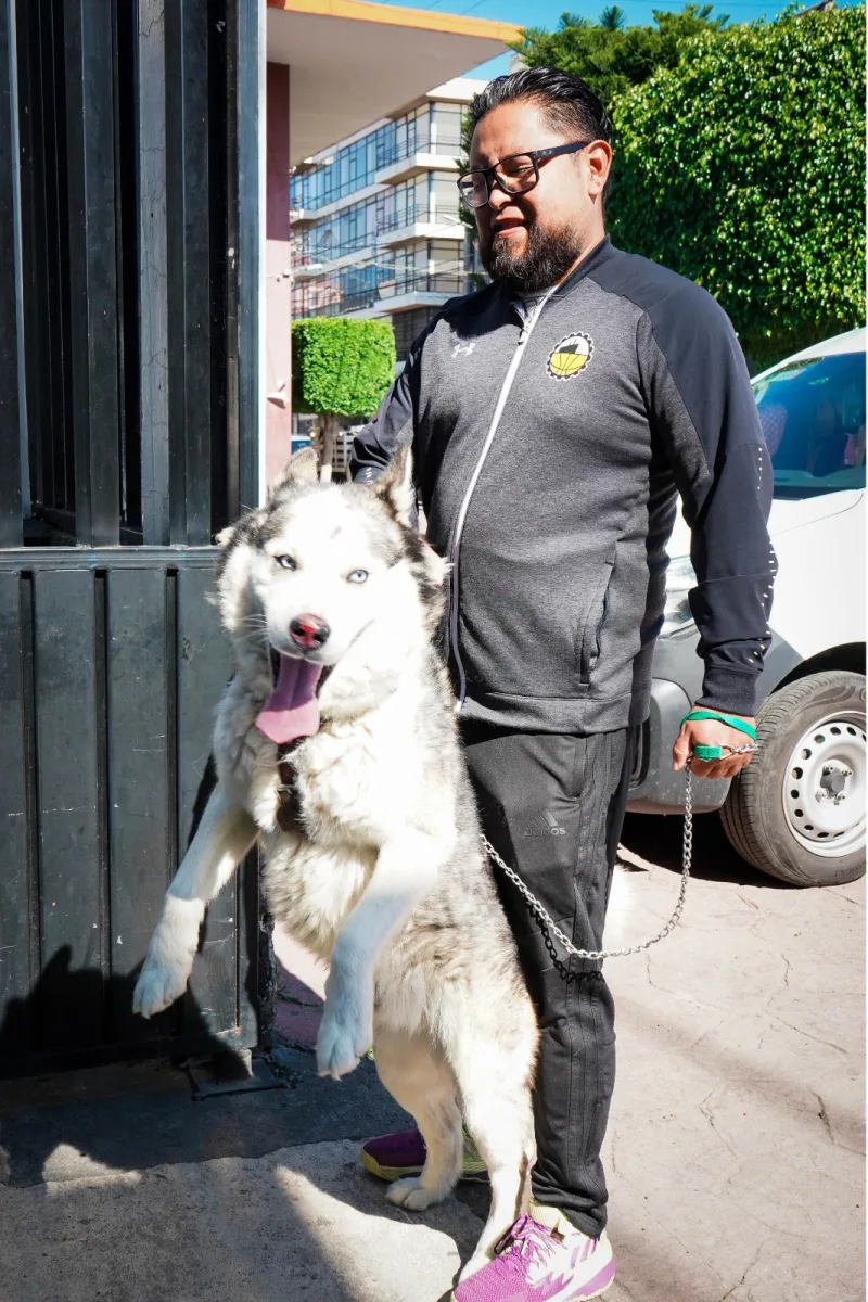 1691166204 553 No olvides llevar a tu amigo peludo a la jornada