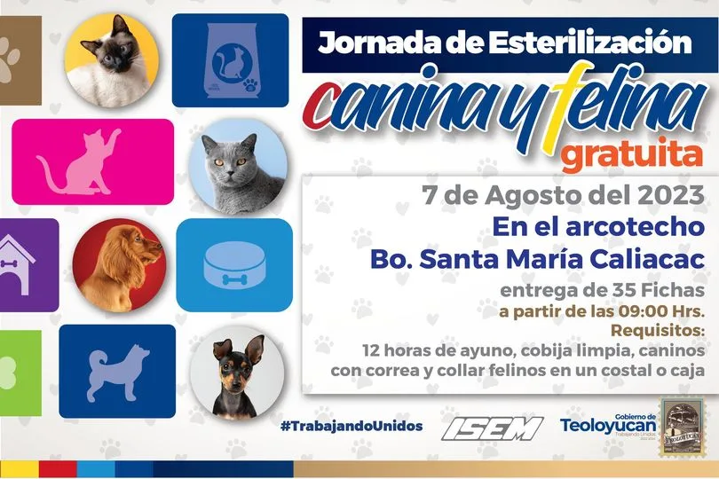 1691166402 Jornada de esterilizacion canina y felina jpg