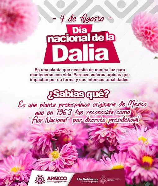 1691168951 Dia Nacional de la Dalia jpg