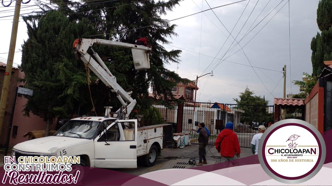 1691182721 368 La Coordinacion de Alumbrado Publico y Electrificaciones continua su ardua