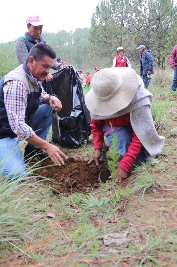 1691185495 546 Cuidar nuestro medio ambiente es tarea de todos por ello