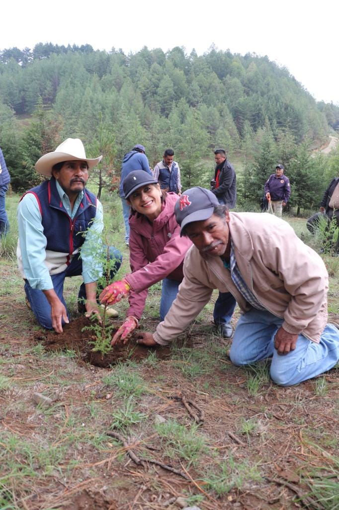 1691185499 152 Cuidar nuestro medio ambiente es tarea de todos por ello