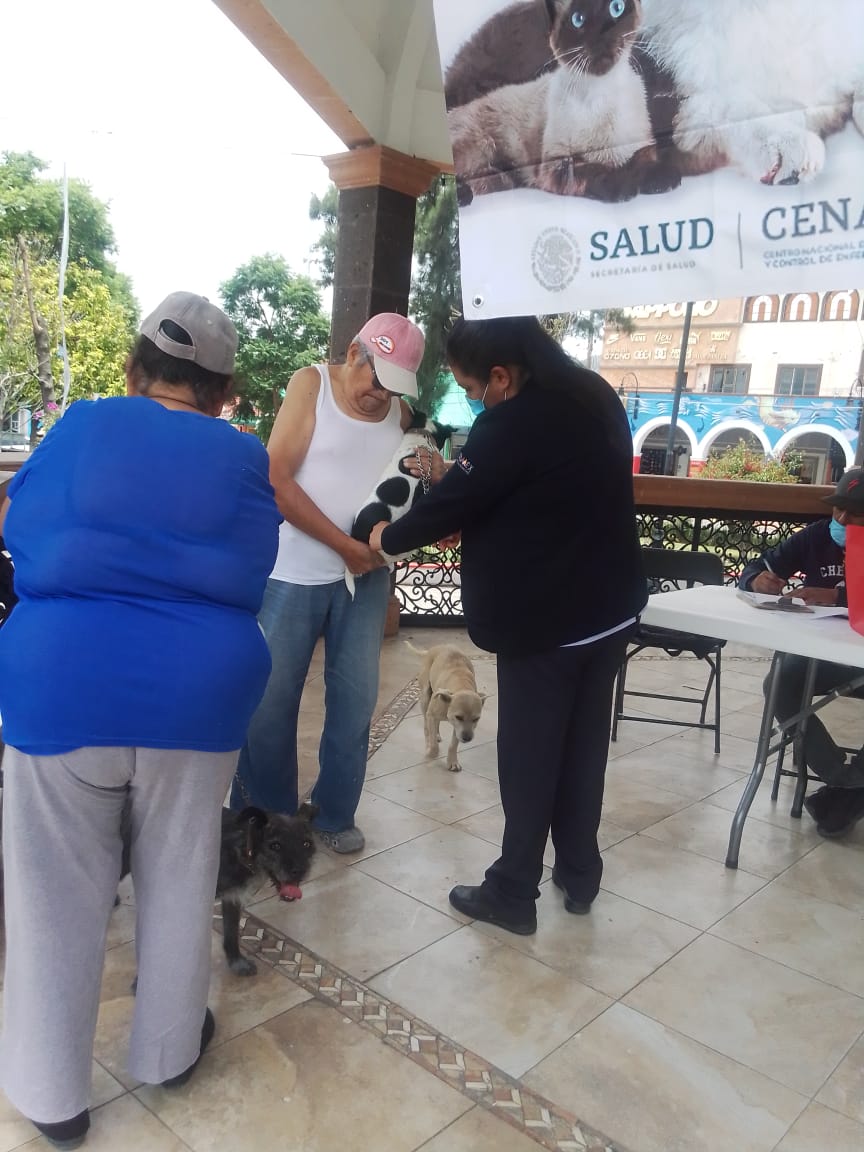 1691188144 924 Finalizo hoy en Teotihuacan la Semana Estatal de Vacunacion Antirrabica