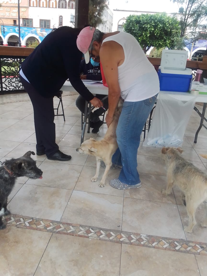 1691188149 967 Finalizo hoy en Teotihuacan la Semana Estatal de Vacunacion Antirrabica