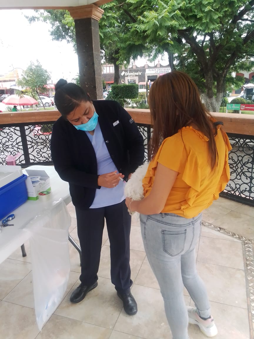 1691188154 858 Finalizo hoy en Teotihuacan la Semana Estatal de Vacunacion Antirrabica