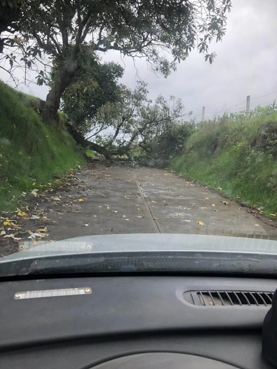 1691188302 Atendimos el reporte ciudadano para liberar el Camino Viejo a