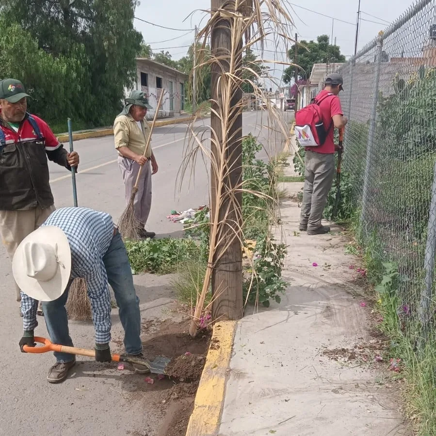 1691188782 Personal de la Direccion de Servicios Publicos de Otumba llevo jpg