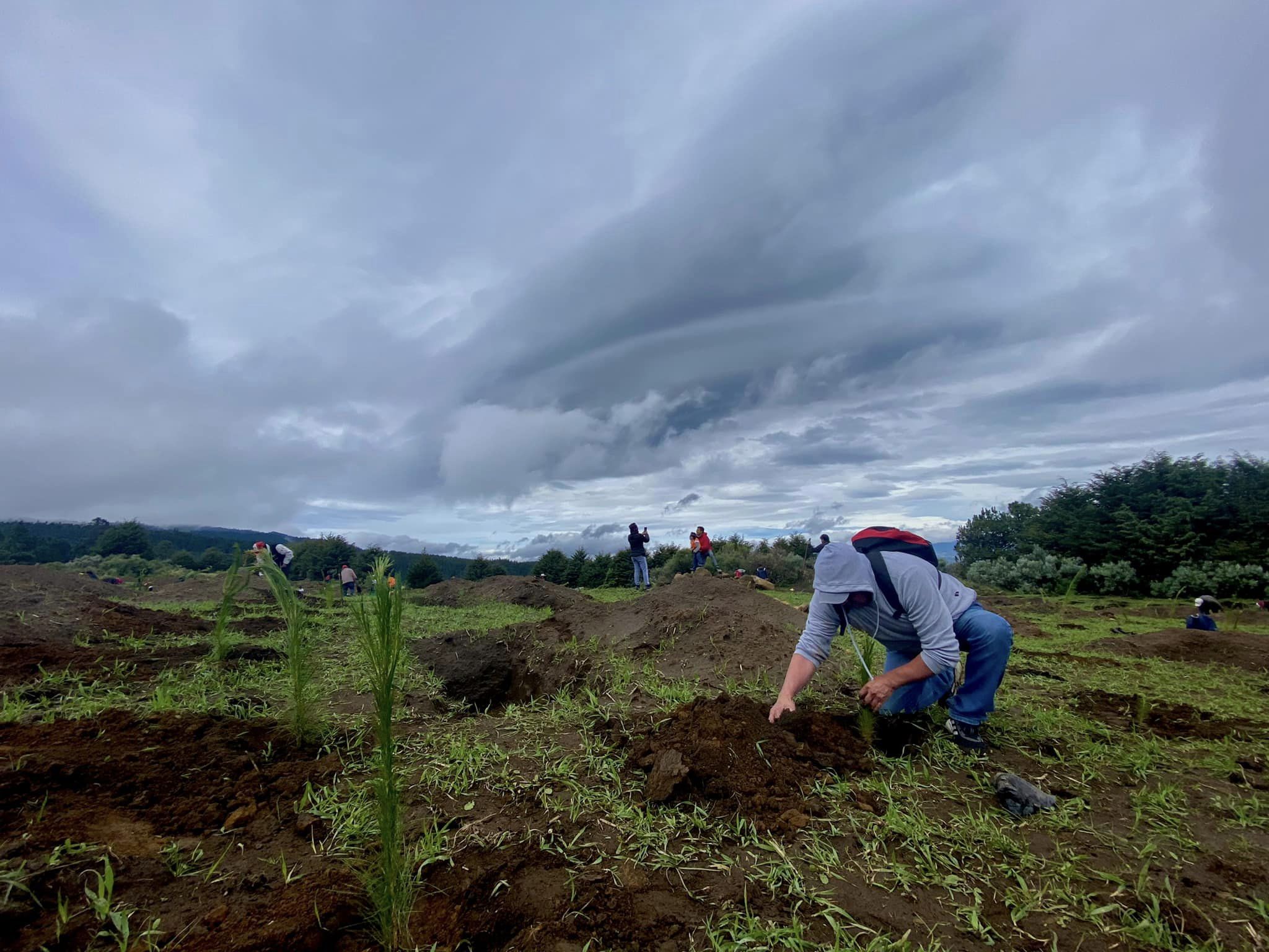 1691256308 565 Reforestacion Masiva 2023 Paraje el Volador