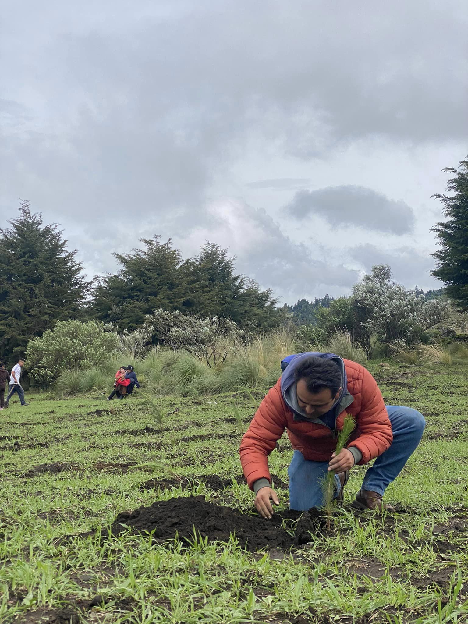 1691256318 304 Reforestacion Masiva 2023 Paraje el Volador