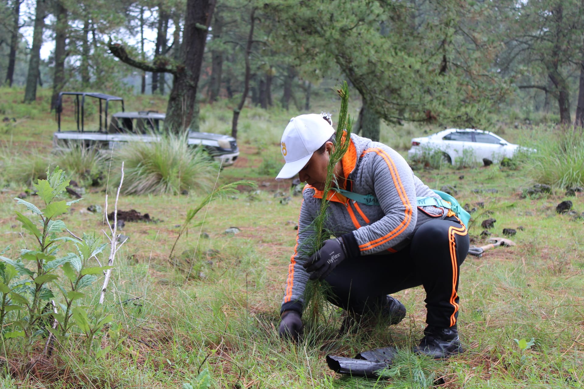 1691261277 469 5Reforestacion Una vez mas logramos realizar una reforestacion con 2000