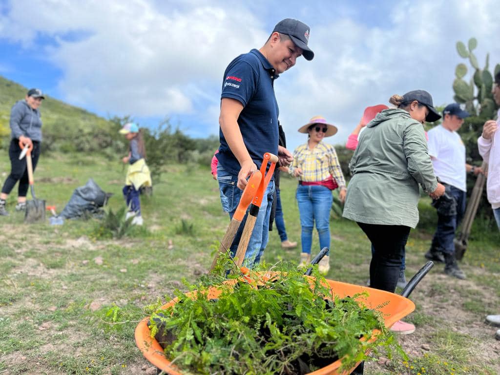 1691267279 735 Jornada de reforestacion en la Sierra Patlachique