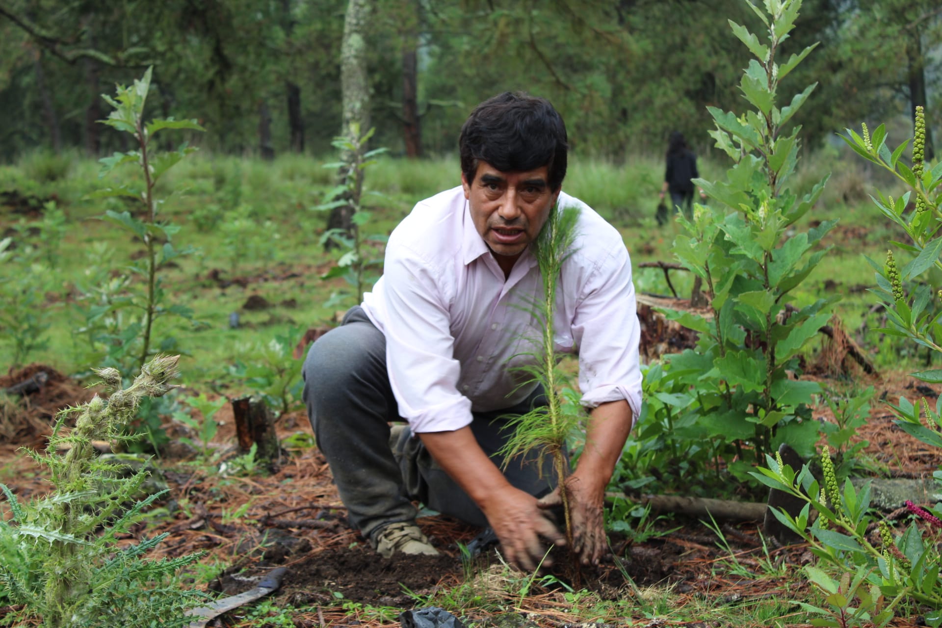 1691275809 795 5Reforestacion Una vez mas logramos realizar una reforestacion con 2000