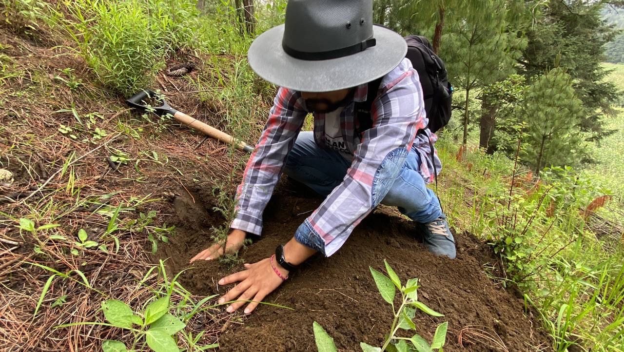 1691331441 973 Cuando plantamos arboles plantamos semillas para el futuro El dia