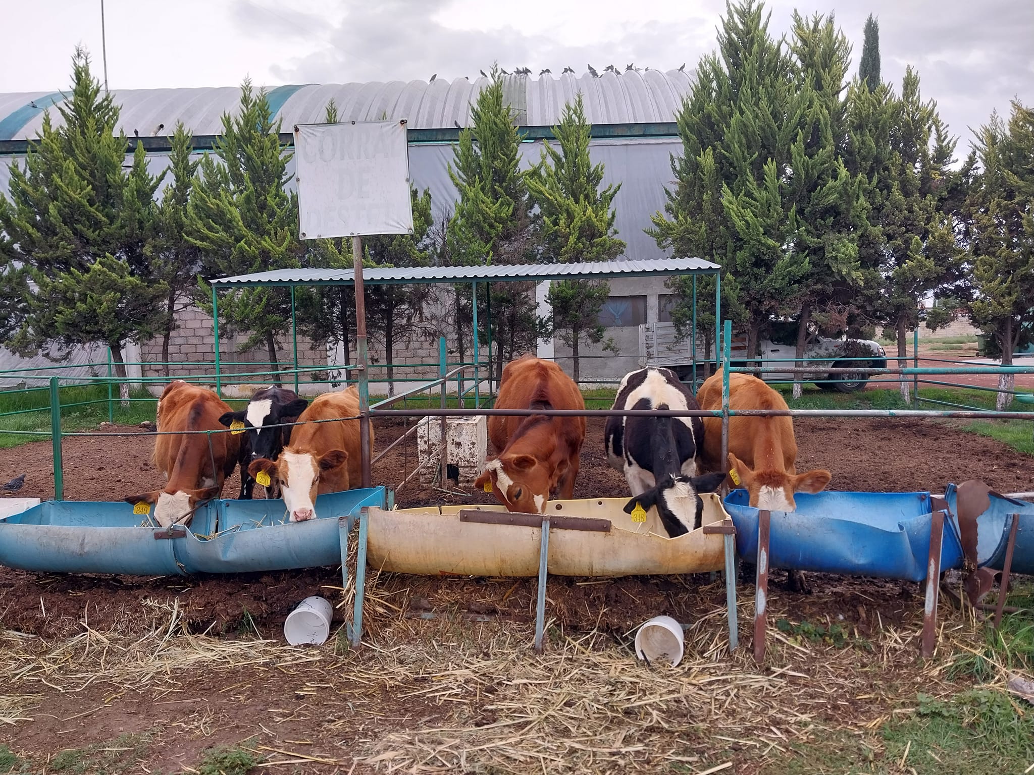 1691421983 277 Procesadora de Lacteos Rancho Pueblo Nuevo