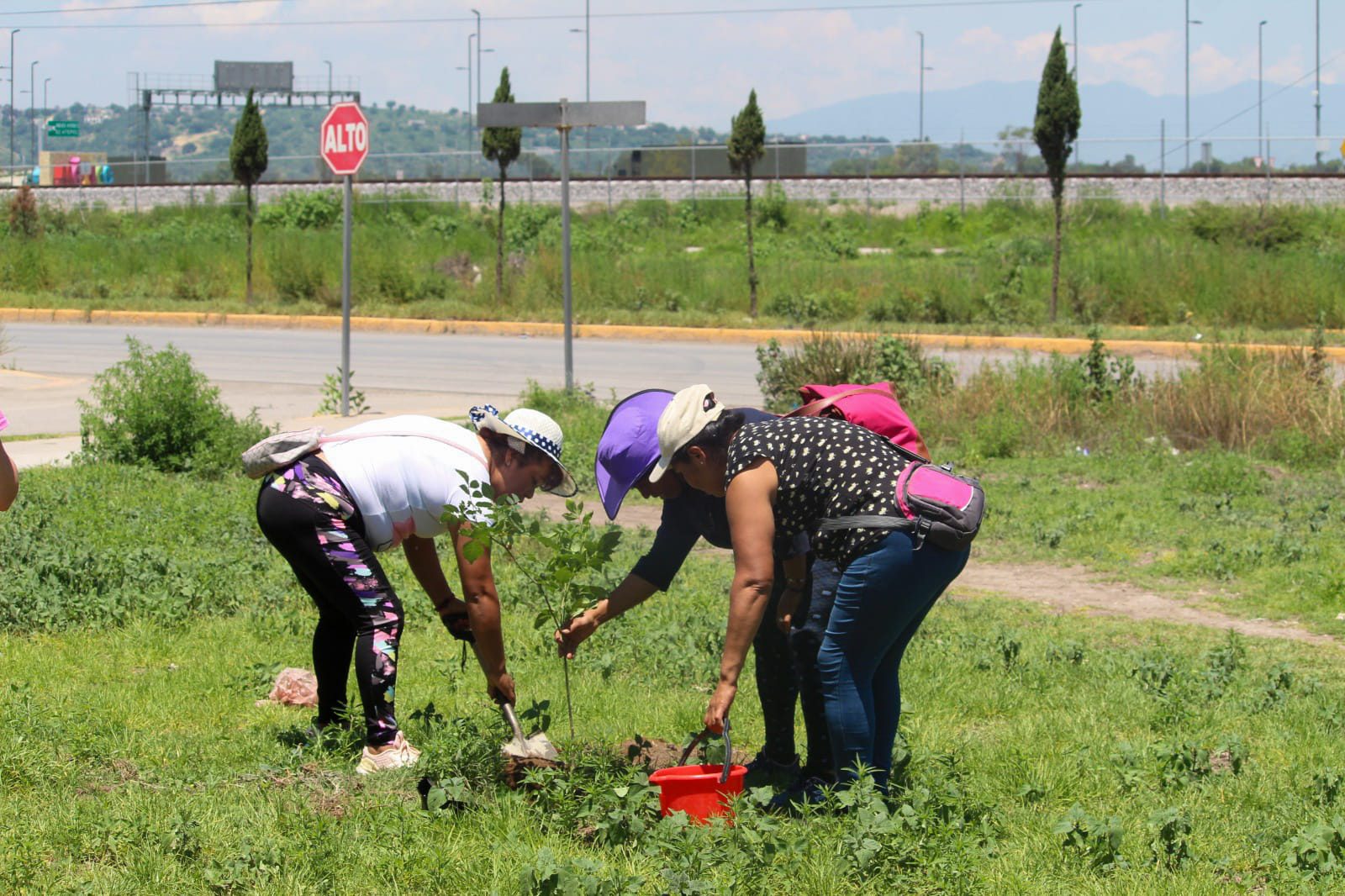 1691438929 622 ¡Unidos por la naturaleza Reforestacion en Ex Hacienda Santa Ines