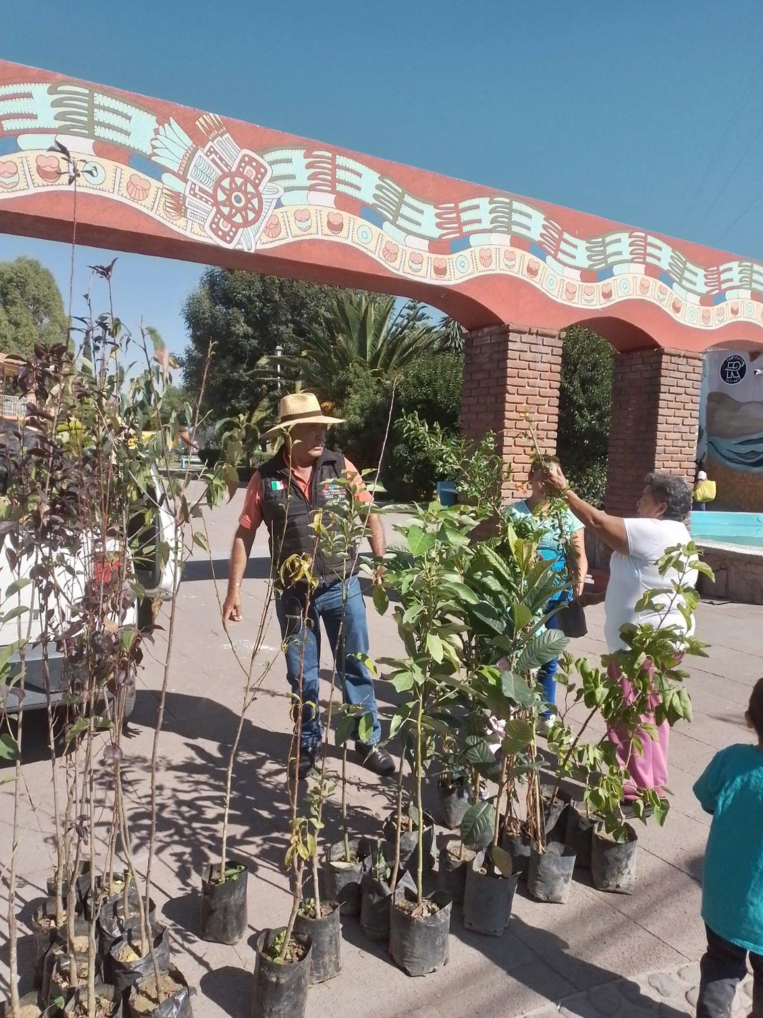 1691440901 304 La Direccion de Fomento Agropecuario en coordinacion con el vivero