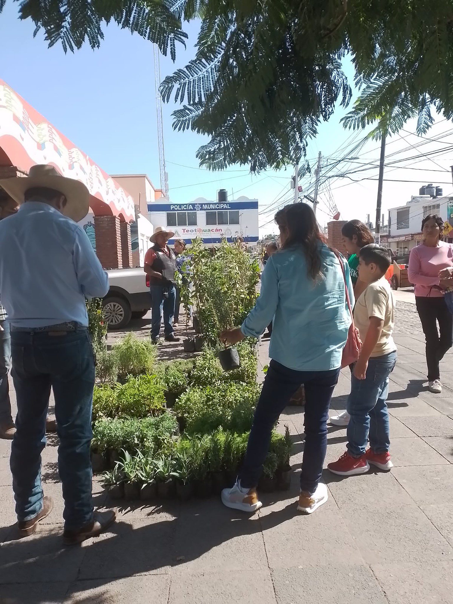 1691440907 790 La Direccion de Fomento Agropecuario en coordinacion con el vivero