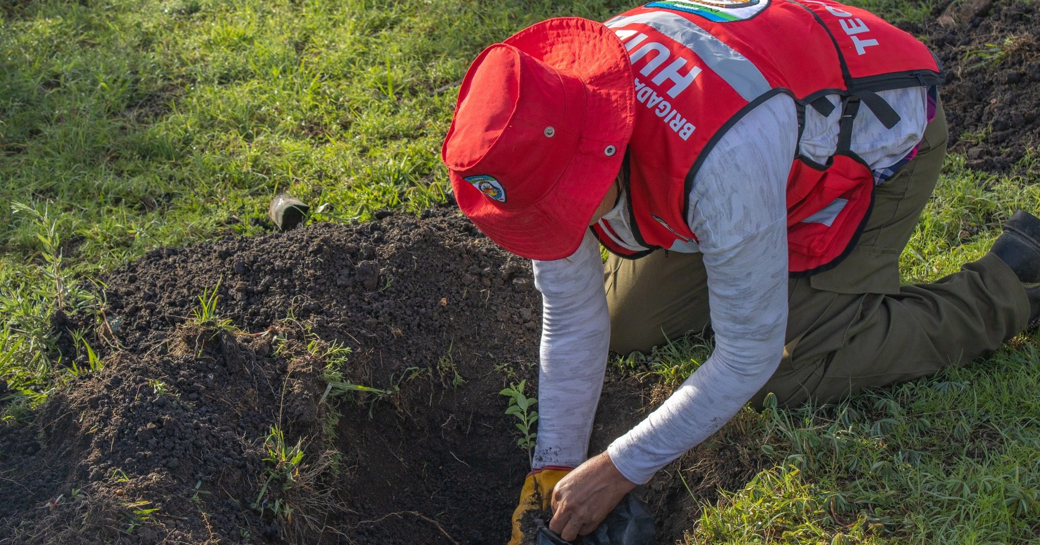 1691443892 638 Este fin de semana la Coordinacion de Medio Ambiente y