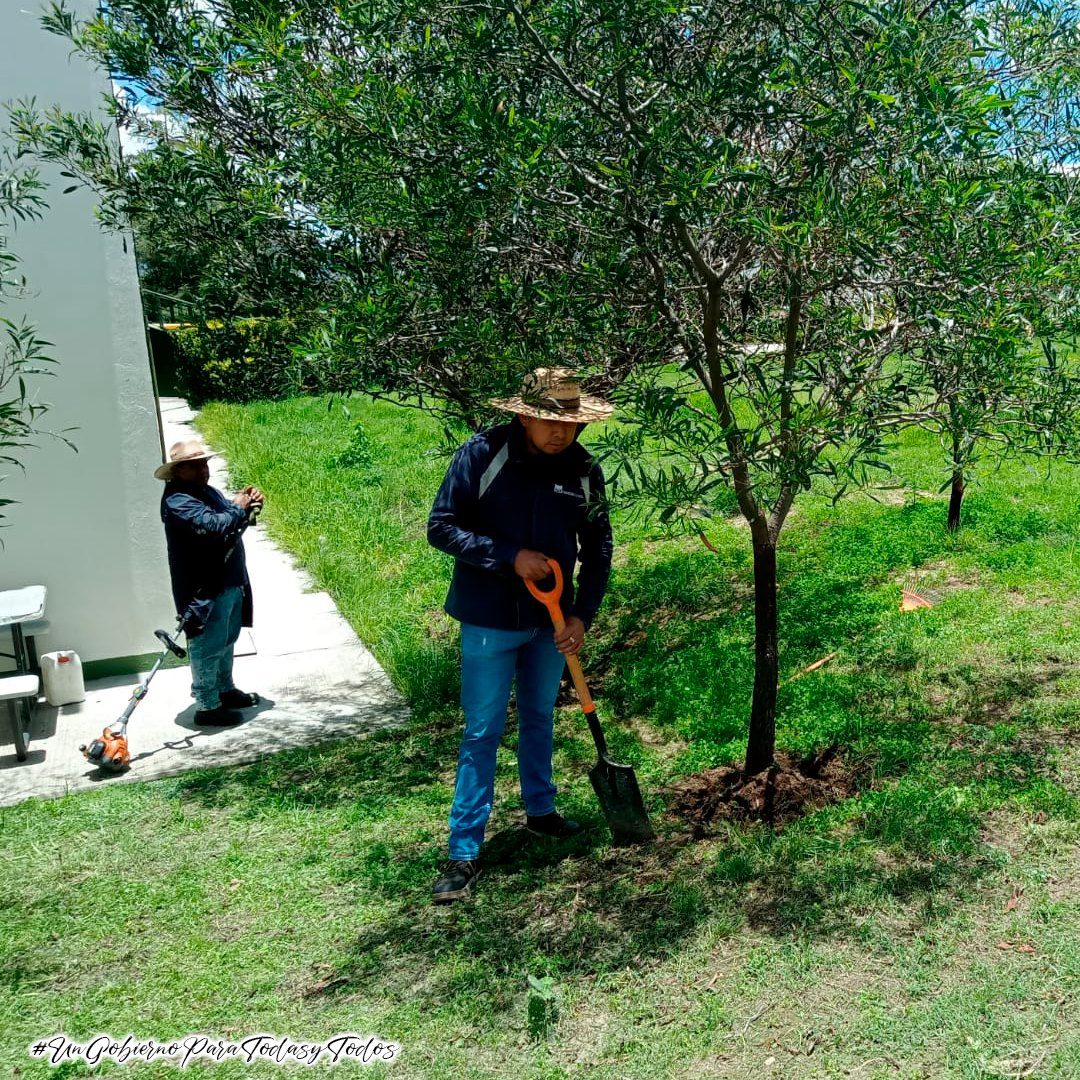 1691450529 598 La Coordinacion de Parques y Jardines del H Ayuntamiento de