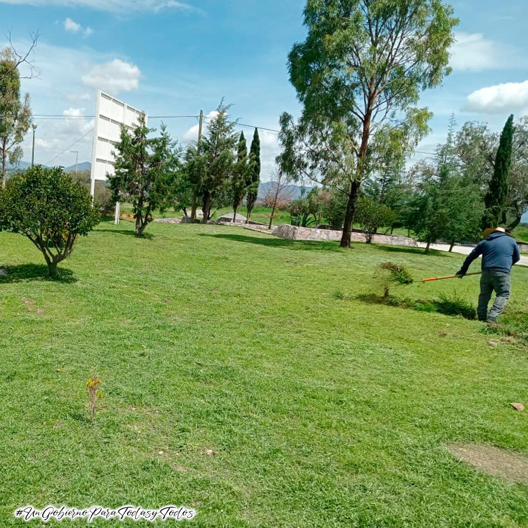 1691450532 249 La Coordinacion de Parques y Jardines del H Ayuntamiento de