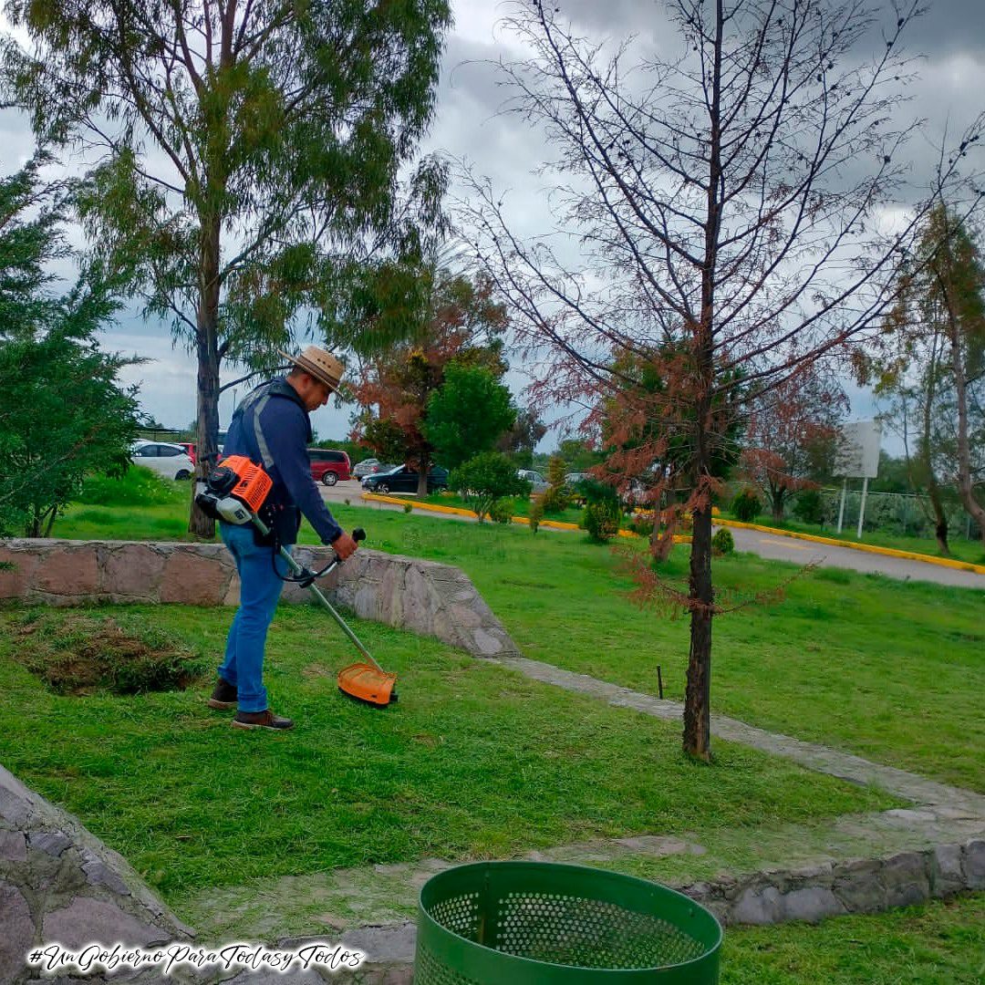 1691450536 471 La Coordinacion de Parques y Jardines del H Ayuntamiento de