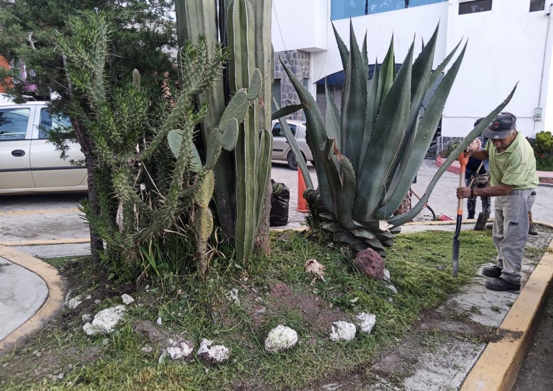 1691452563 105 Esta tarde el area de Ecologia realizo una limpieza