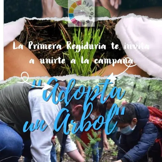 1691500767 Sumate a la campana Adopta un arbol La Primera Regiduria jpg