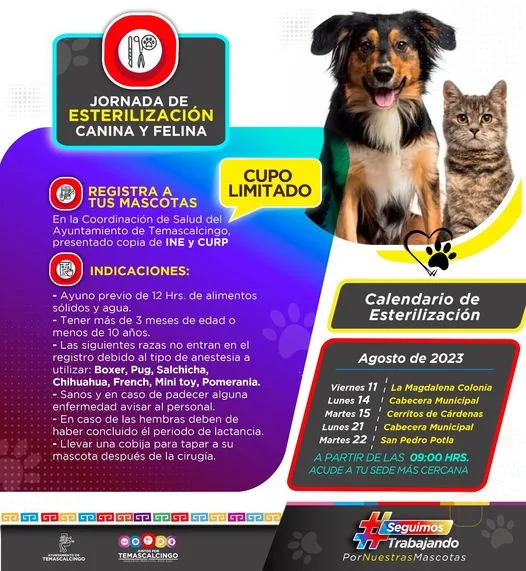 1691509897 JORNADA DE ESTERILIZACION CANINA Y FELINA CUPO LUMITADO Registra a jpg