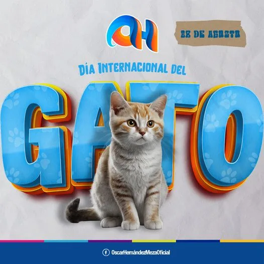 1691515220 Hoy se celebra el 2o Dia Internacional del Gato asi jpg