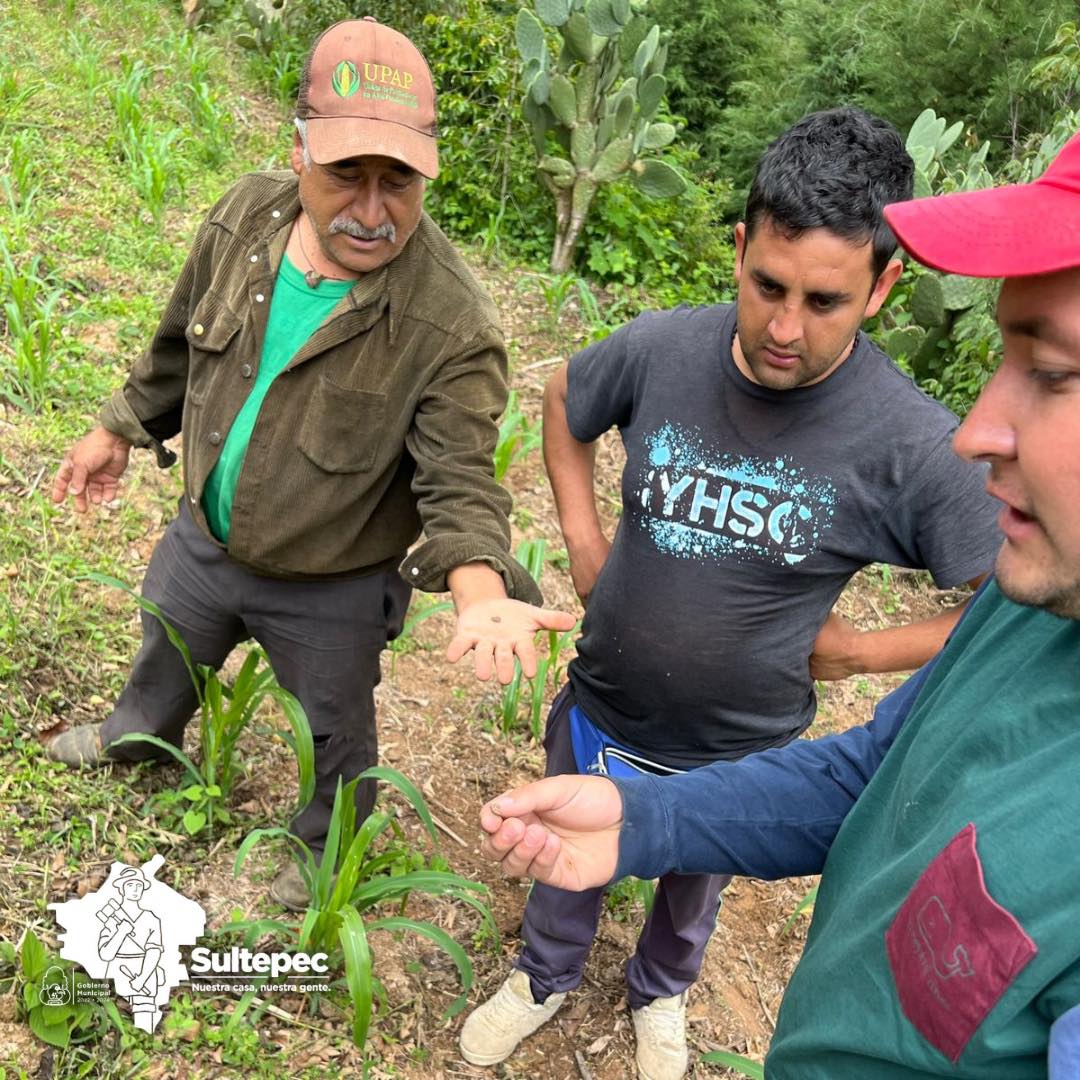 1691602511 996 En colaboracion con el Area de Desarrollo Agropecuario el Comite