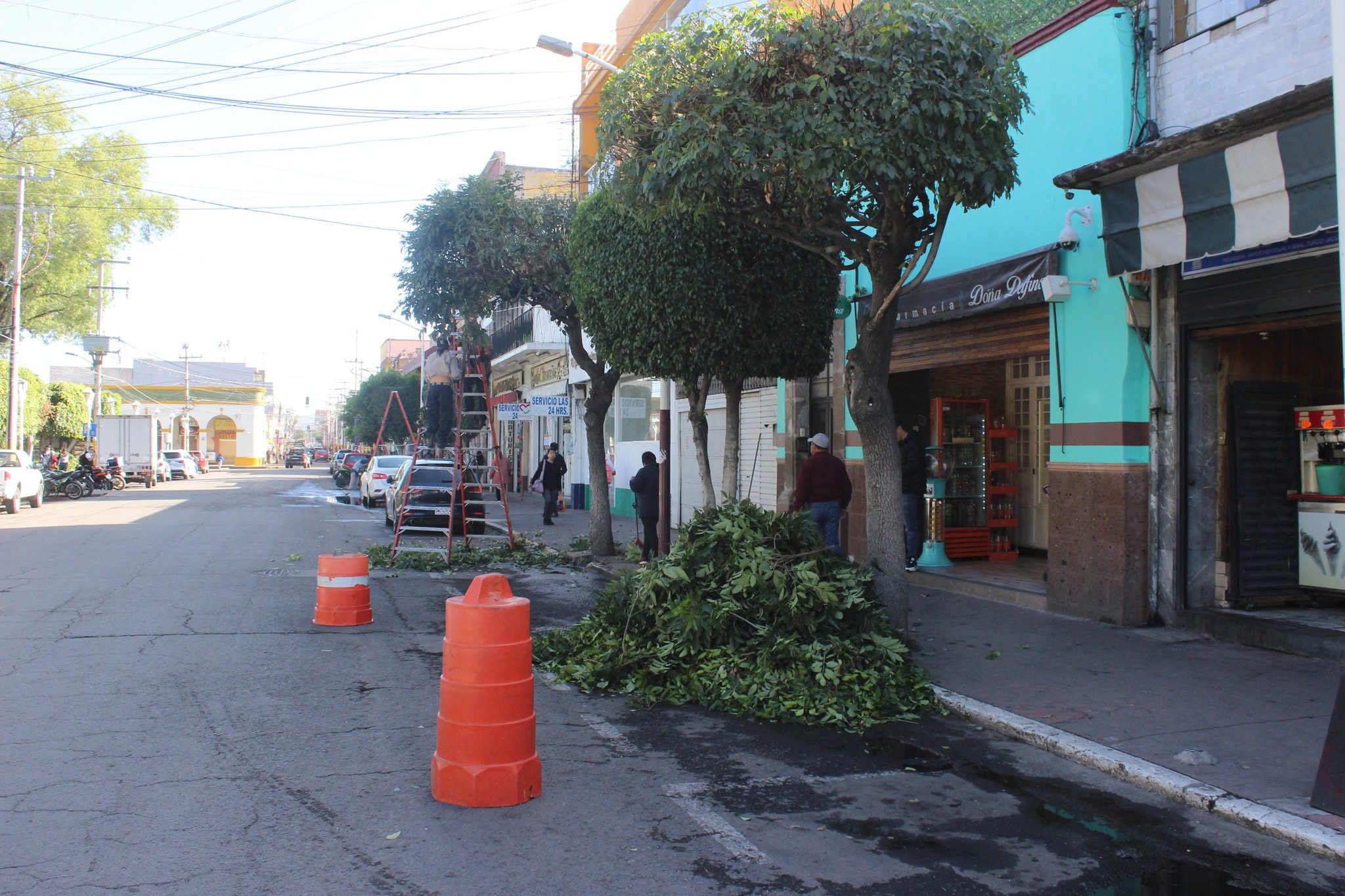 1691606738 456 El Ayuntamiento de Texcoco realiza la poda y mantenimiento del