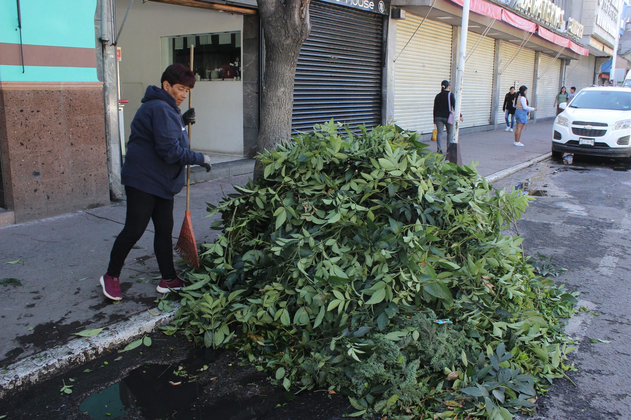 1691606743 455 El Ayuntamiento de Texcoco realiza la poda y mantenimiento del