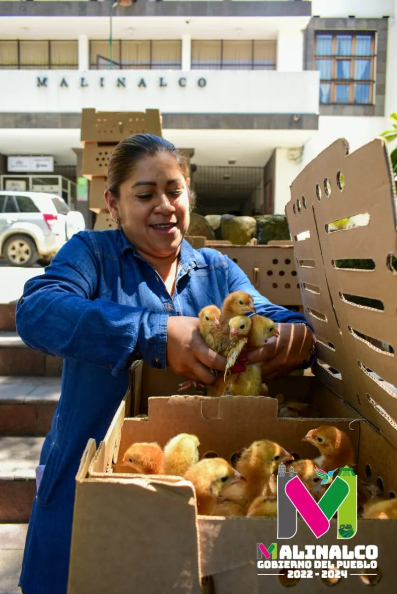 1691669896 997 El dia de hoy se entregaron aves de postura engorda