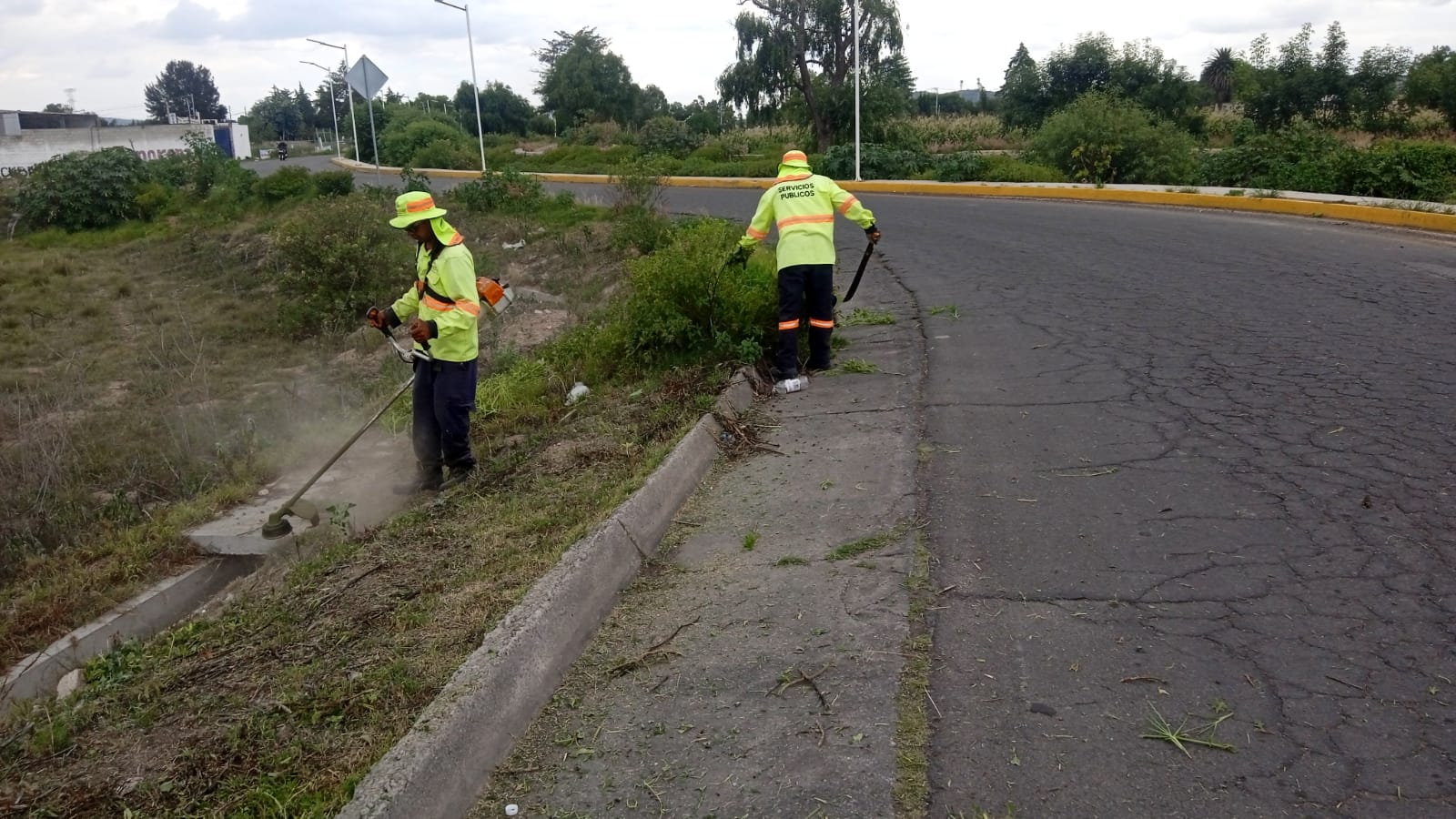 1691671558 478 Las areas de limpia parques y jardines y la brigada