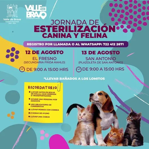 1691675178 Asiste con tu peludito a nuestras Jornadas de Esterilizacion Canina jpg