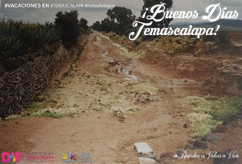 1691676238 Hermosos caminos de Temascalapa jpg