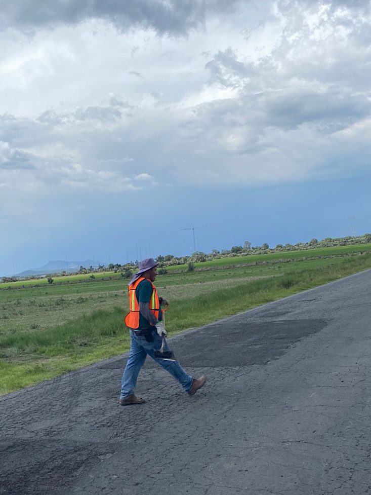 1691676880 464 ¡Cuidando cada camino en nuestro municipio Gracias al arduo trabajo