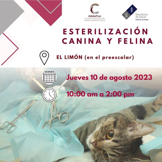 1691684996 866 Atencion ElLimon REGRESAMOS Manana jueves 10 de agosto estara el