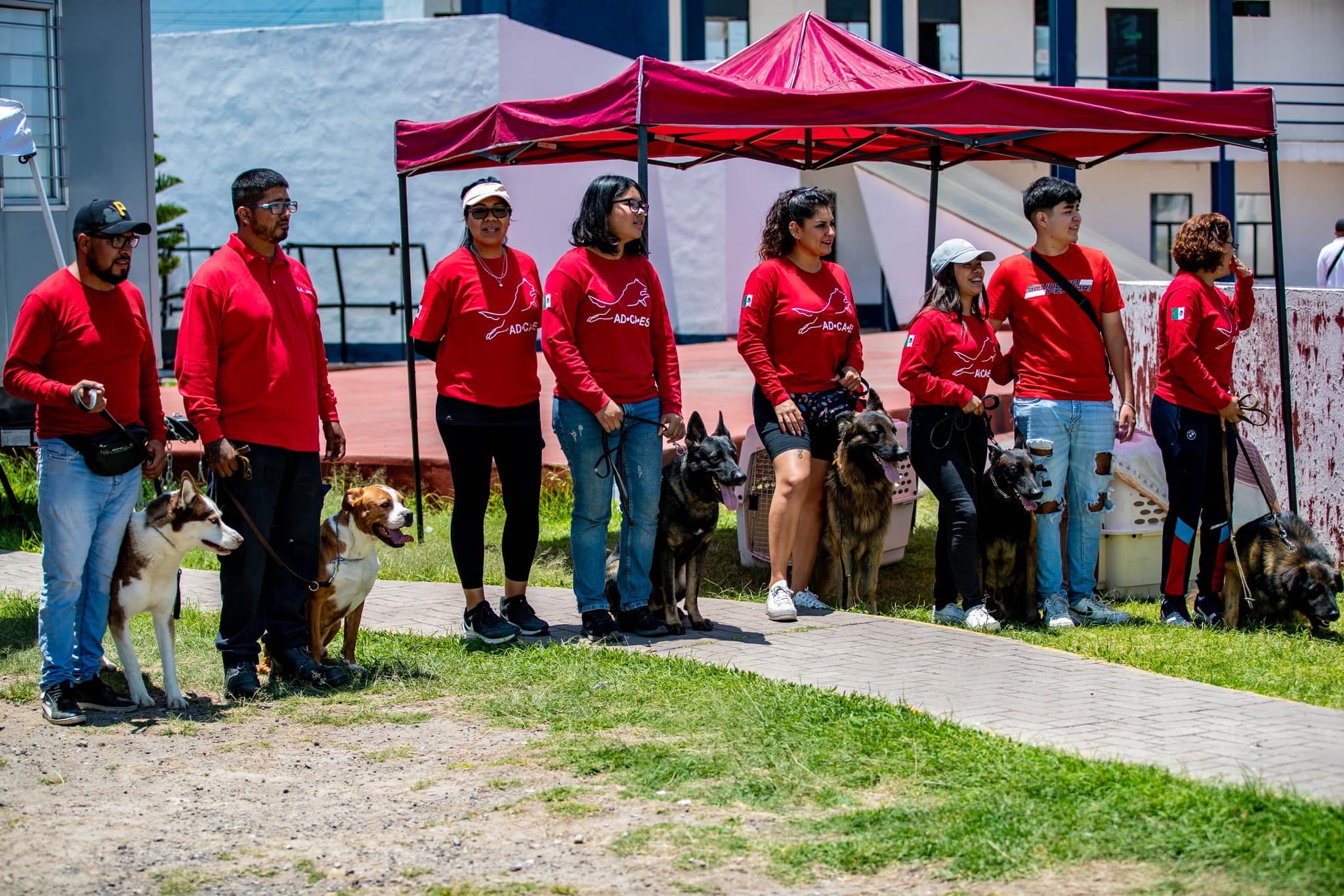 1691695626 170 ¡Asi nos divertimos en la Mini Academia de Policia con