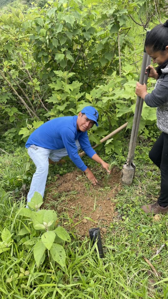 1691711914 889 Reforestacion Tlatlaya El Sistema Municipal DIF de Tlatlaya participa